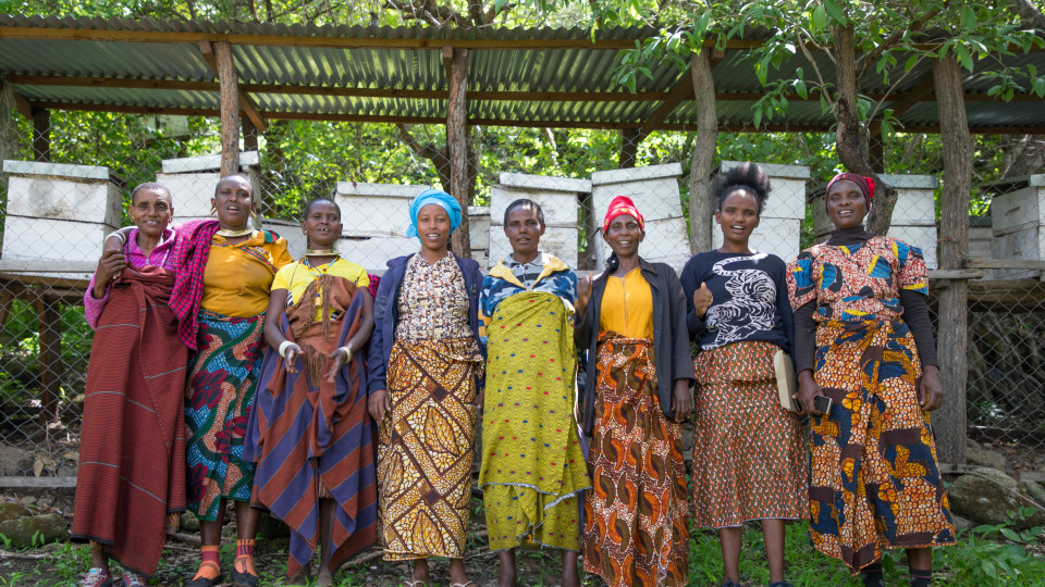 The History of Dóchas